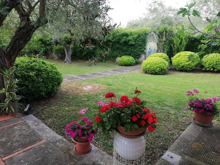 Villa Brezza Capaccio Ngoại thất bức ảnh